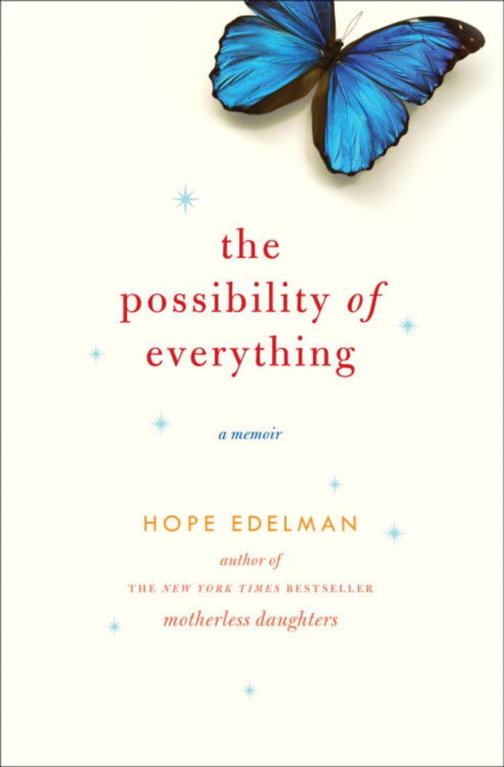 Big bigCover of The Possibility of Everything