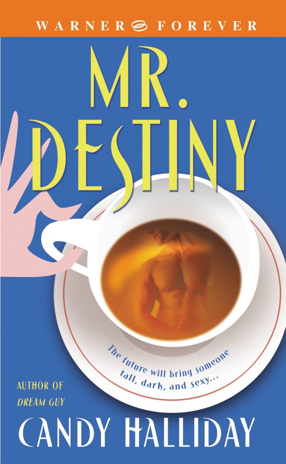 Big bigCover of Mr. Destiny