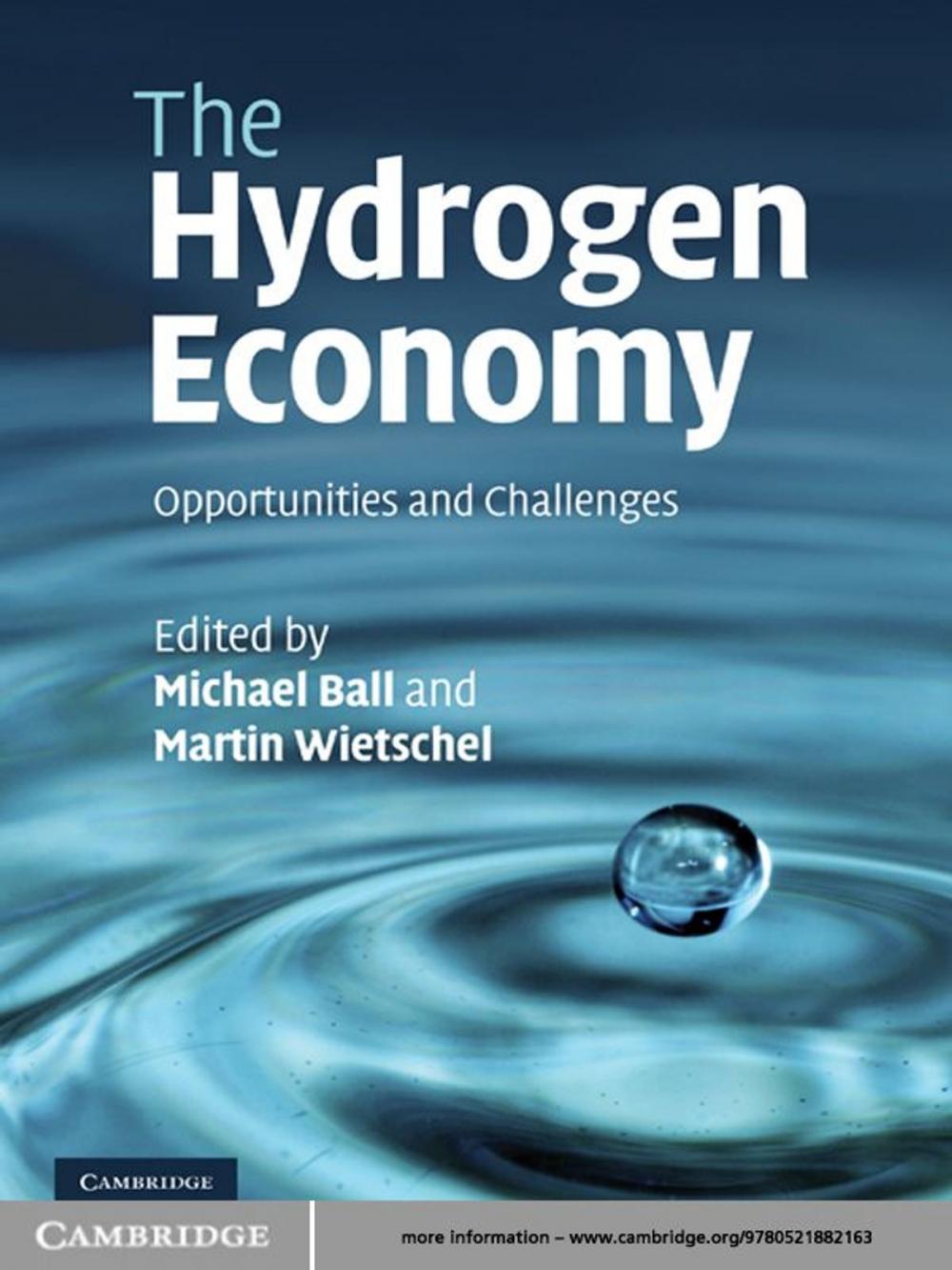 Big bigCover of The Hydrogen Economy