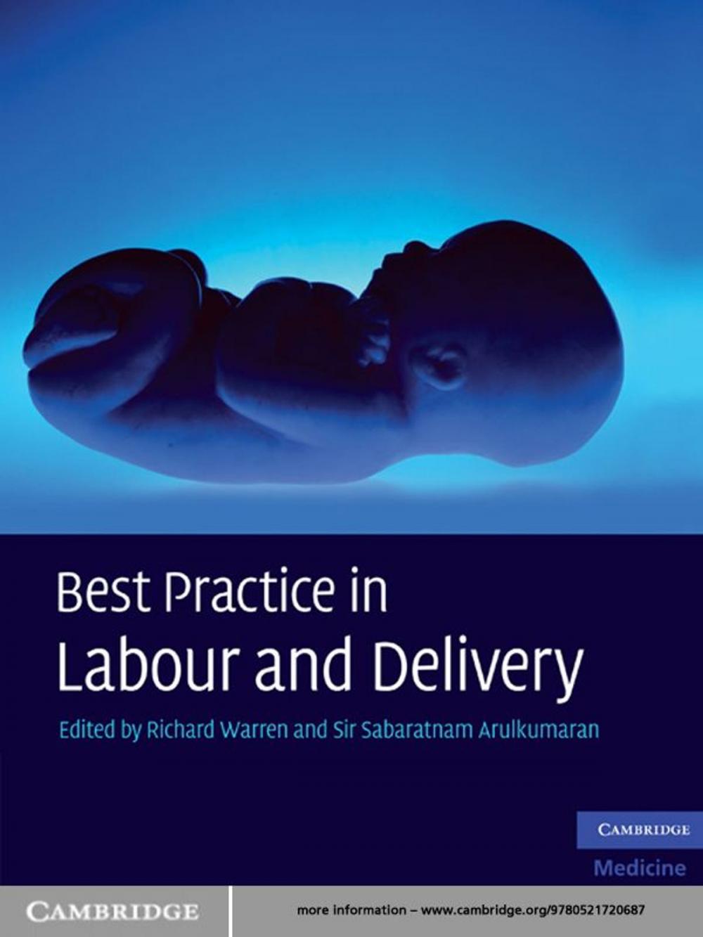 Big bigCover of Best Practice in Labour and Delivery