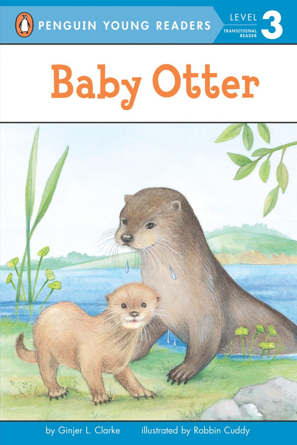 Big bigCover of Baby Otter