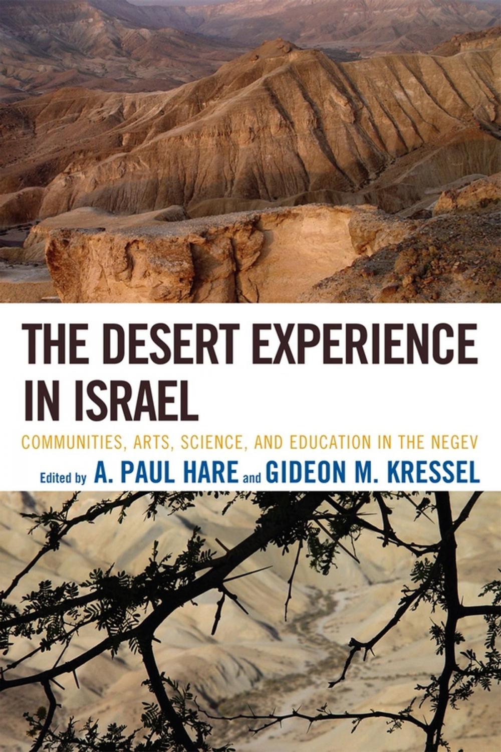 Big bigCover of The Desert Experience in Israel