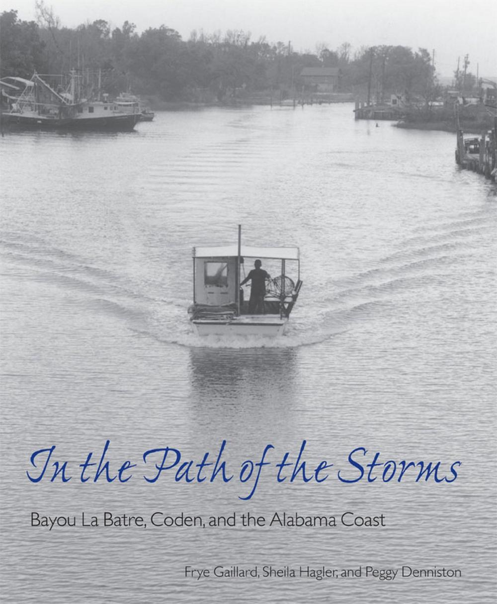 Big bigCover of In the Path of the Storms