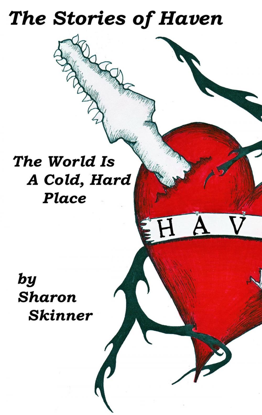 Big bigCover of The Stories of Haven: The World is a Cold, Hard Place