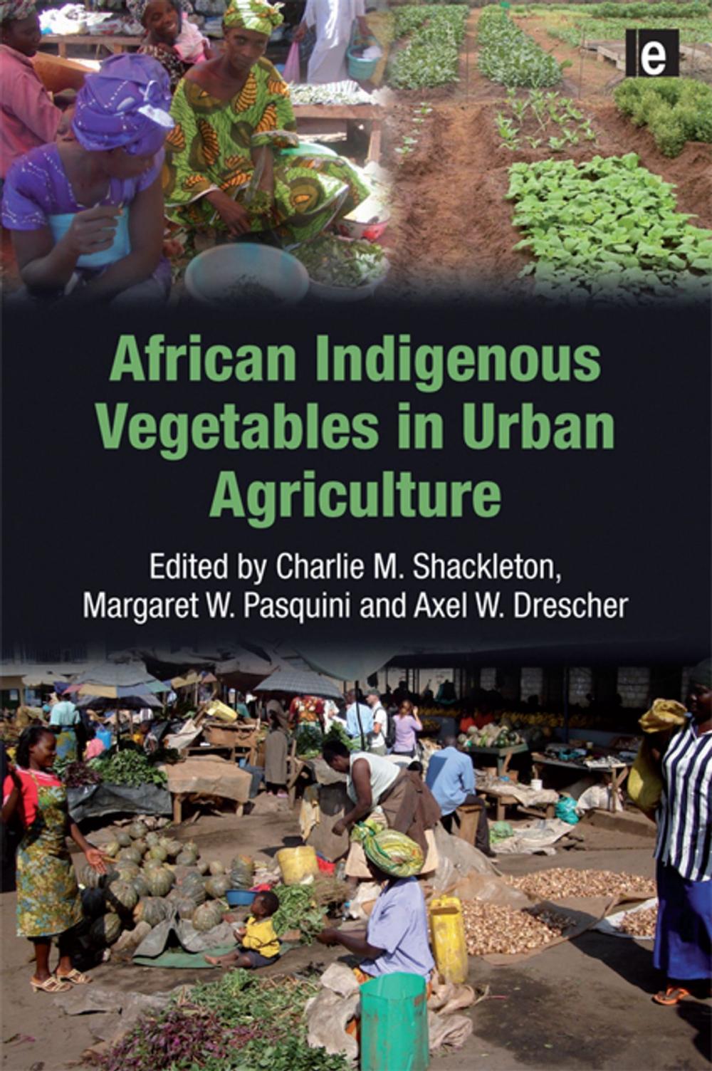 Big bigCover of African Indigenous Vegetables in Urban Agriculture