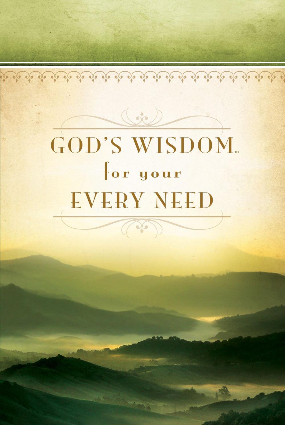 Big bigCover of God's Wisdom For Your Every Need