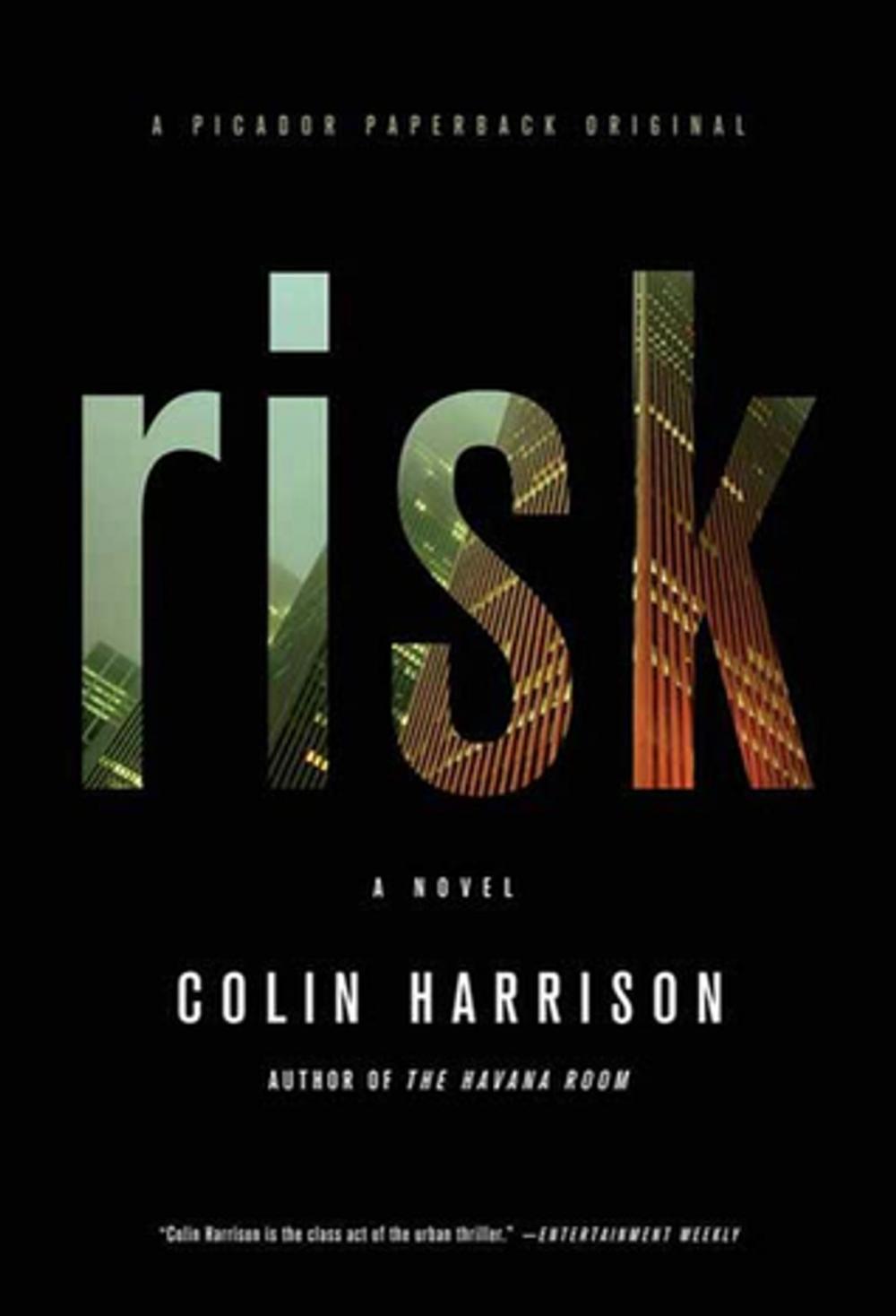 Big bigCover of Risk