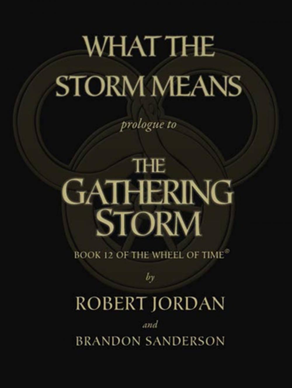 Big bigCover of What the Storm Means: Prologue to the Gathering Storm