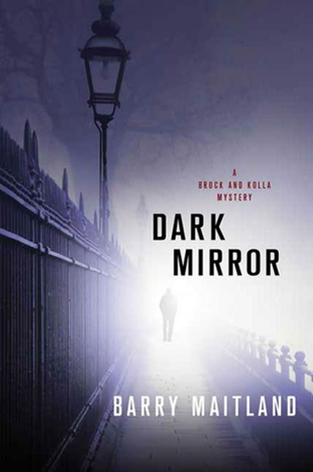 Big bigCover of Dark Mirror