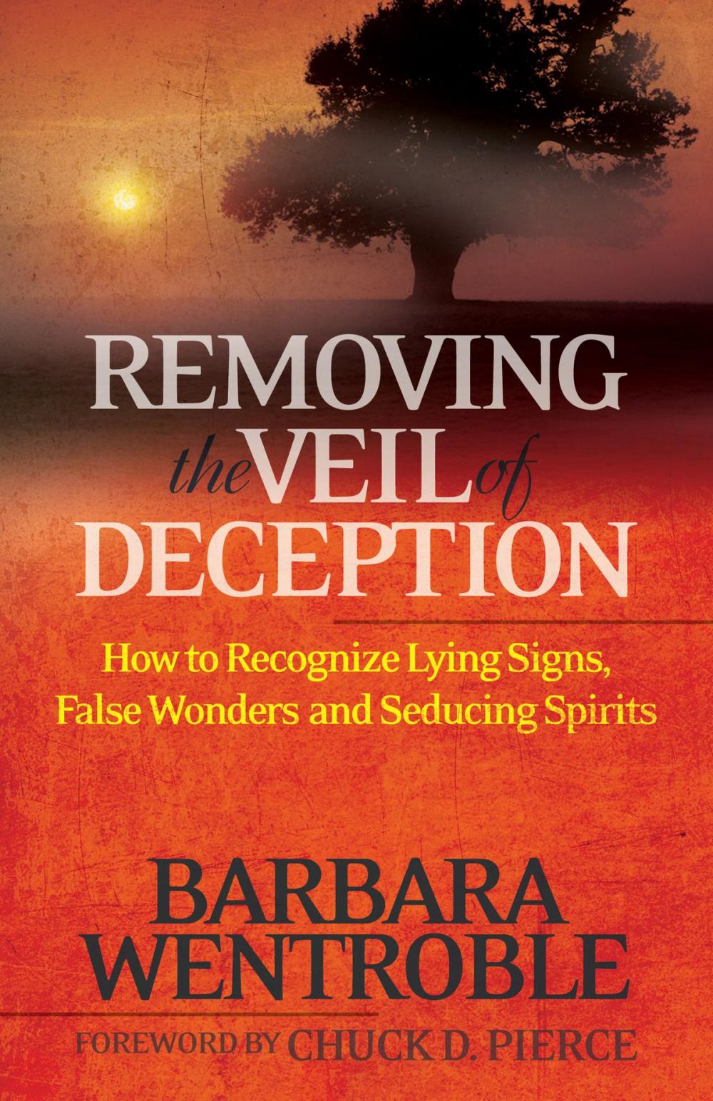 Big bigCover of Removing the Veil of Deception