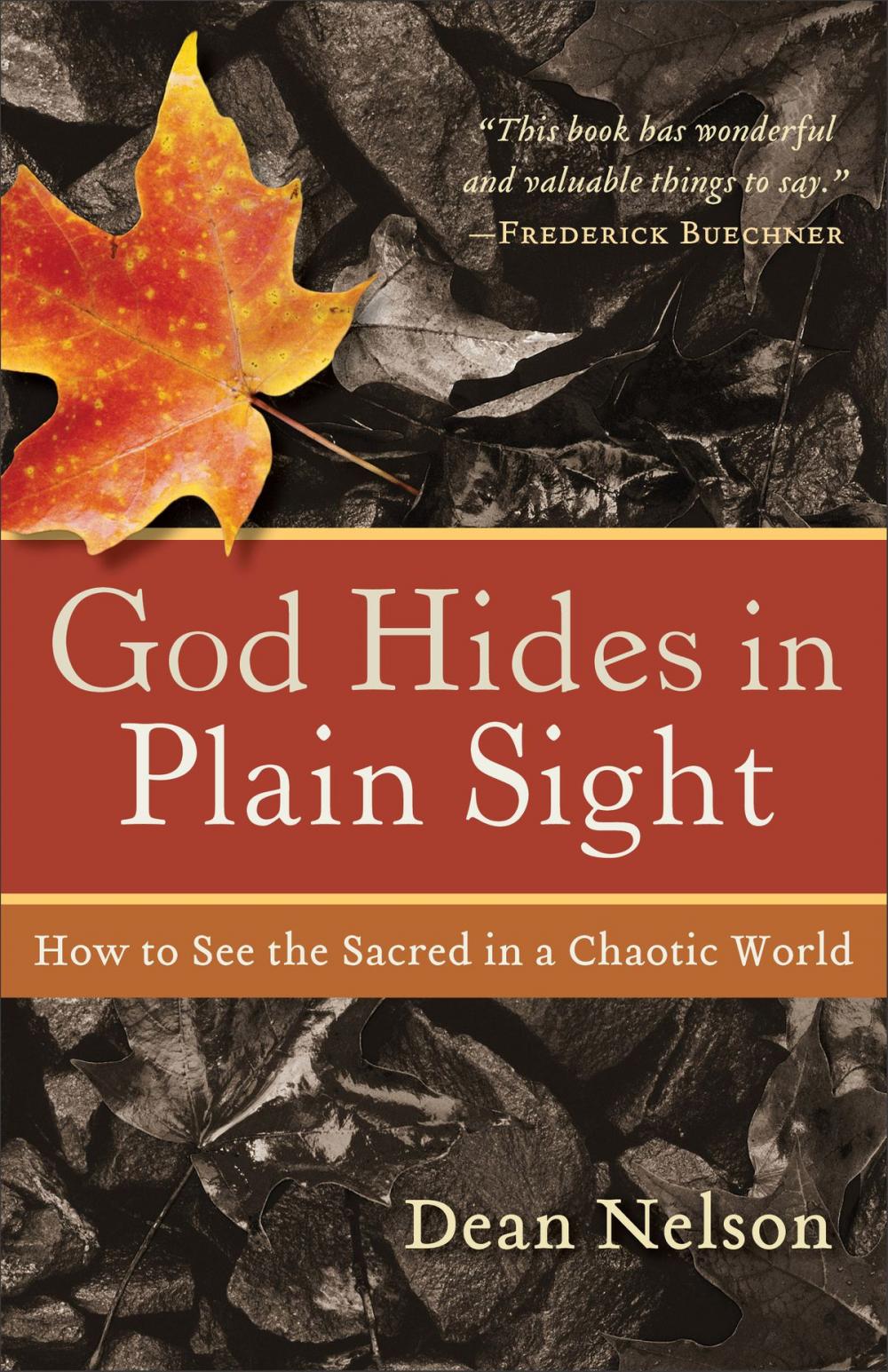 Big bigCover of God Hides in Plain Sight