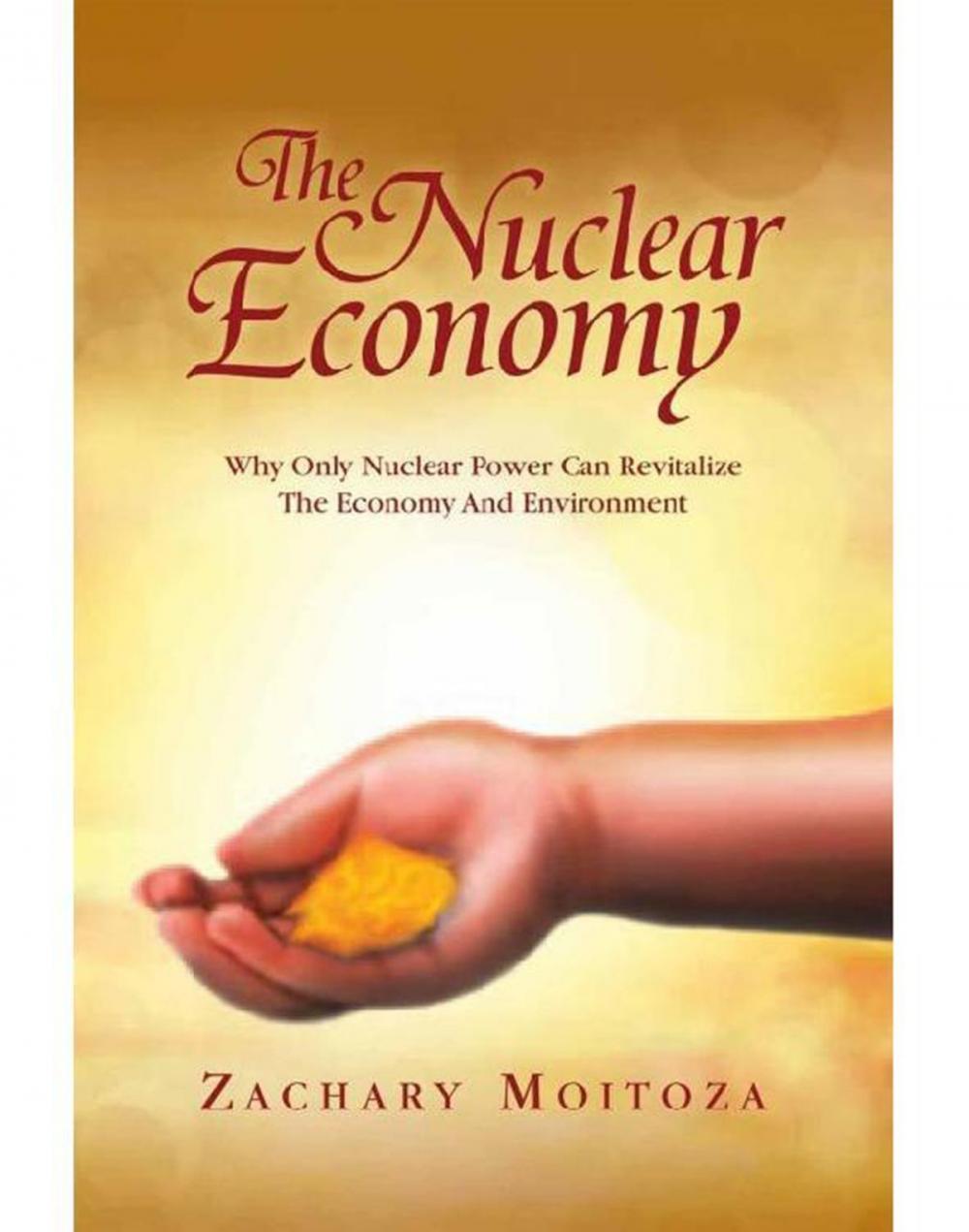 Big bigCover of The Nuclear Economy