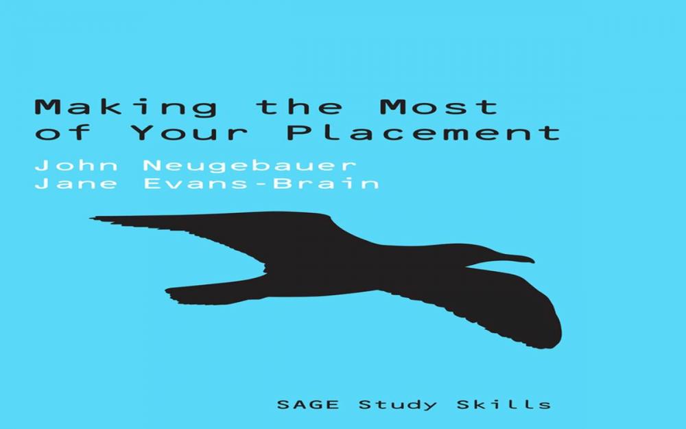 Big bigCover of Making the Most of Your Placement