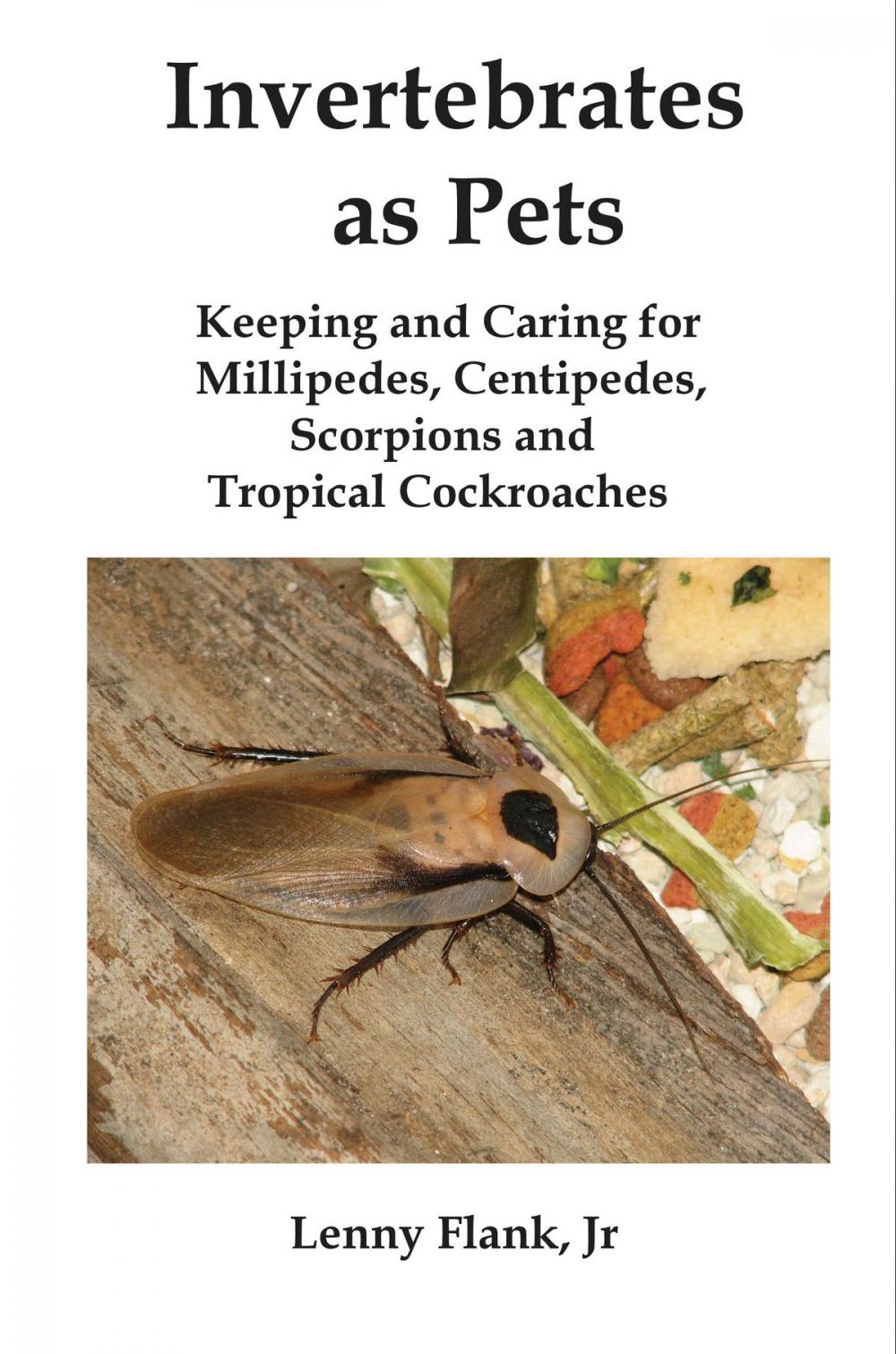 Big bigCover of Invertebrates as Pets: Keeping and Caring for MIllipedes, Centipedes, Scorpions and Tropical Cockroaches