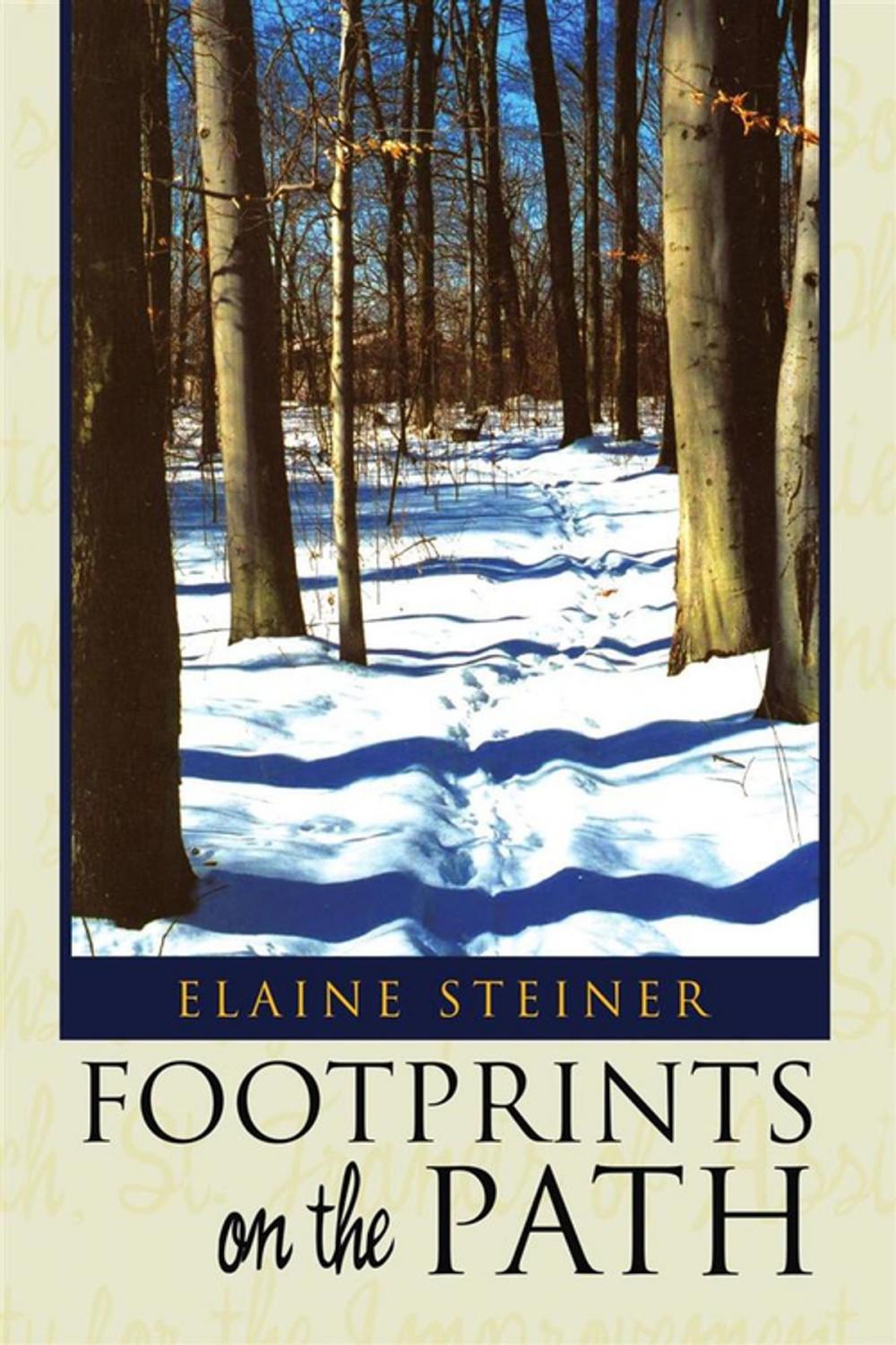 Big bigCover of Footprints on the Path