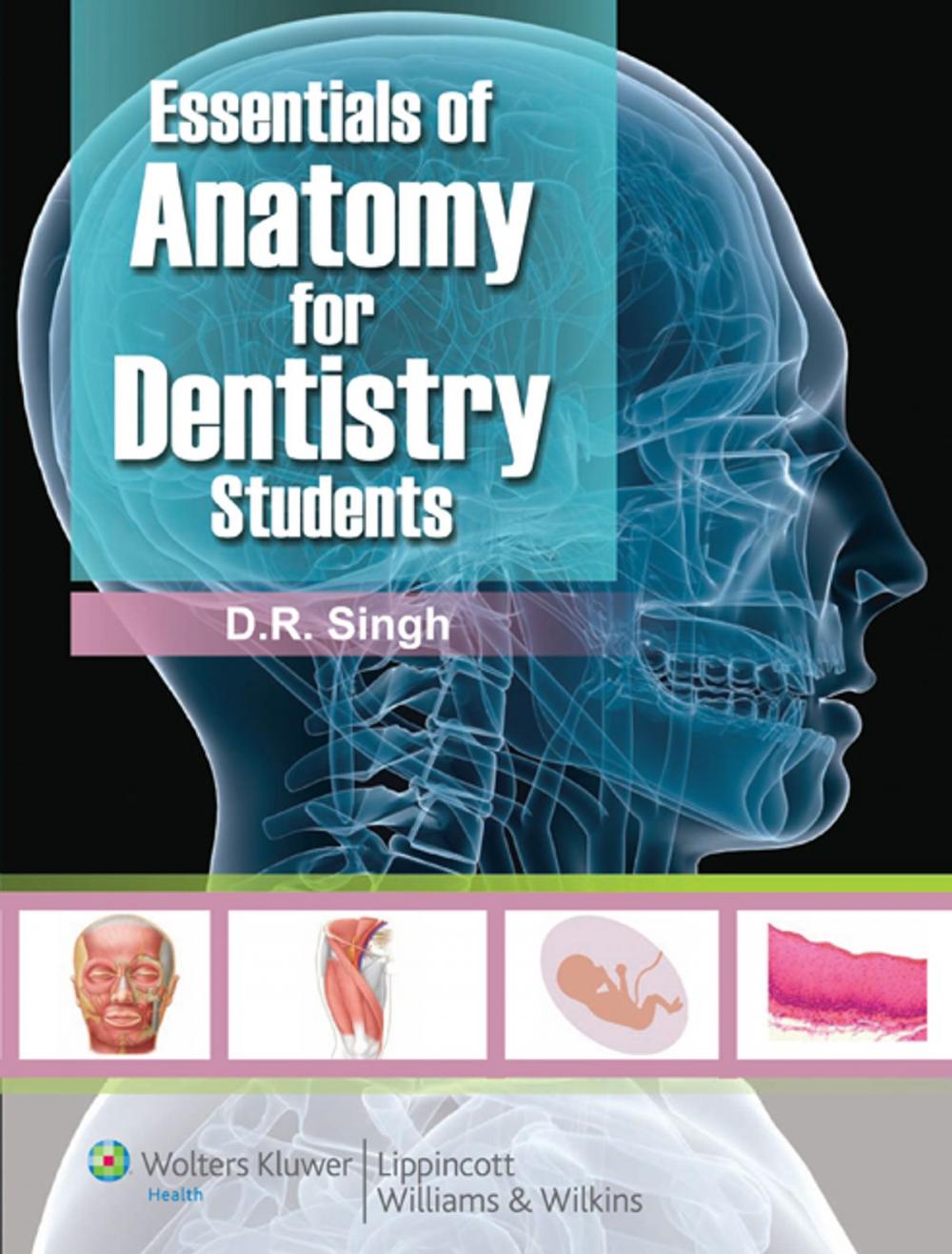 Big bigCover of Essentials of Anatomy for Dentistry Students