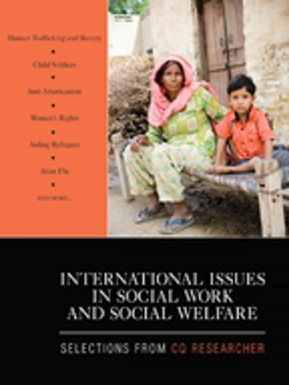 Big bigCover of International Issues in Social Work and Social Welfare