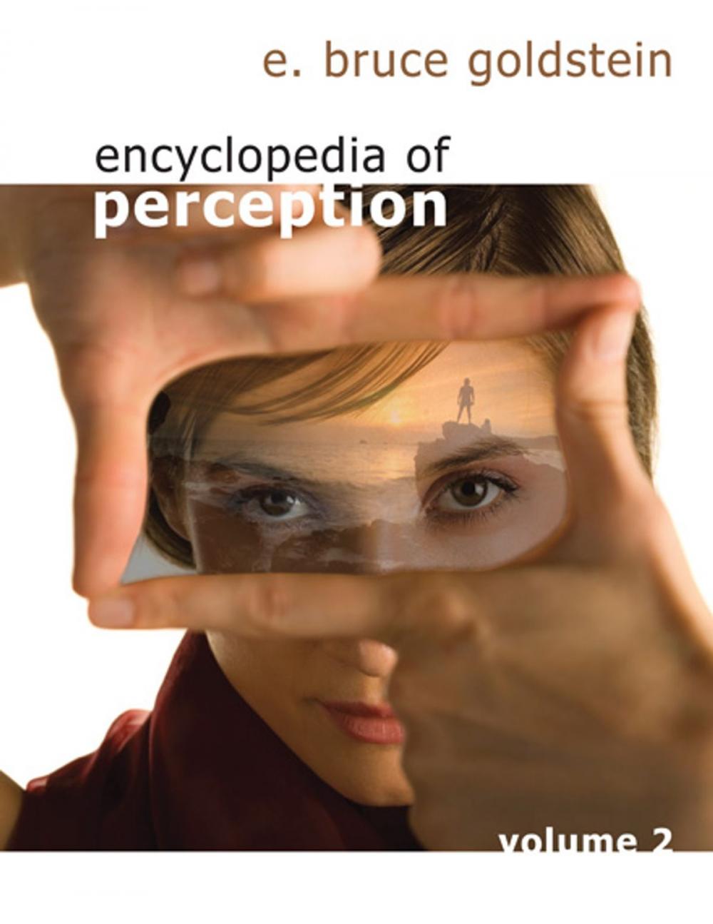 Big bigCover of Encyclopedia of Perception