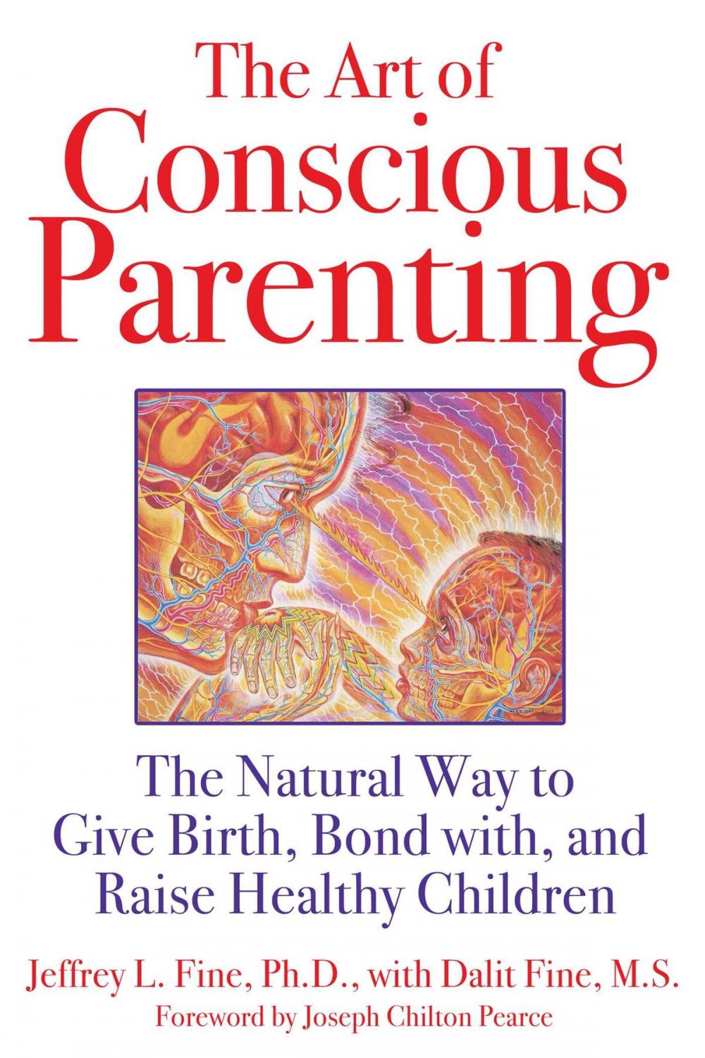 Big bigCover of The Art of Conscious Parenting