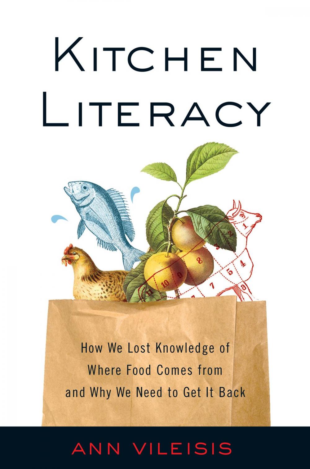 Big bigCover of Kitchen Literacy