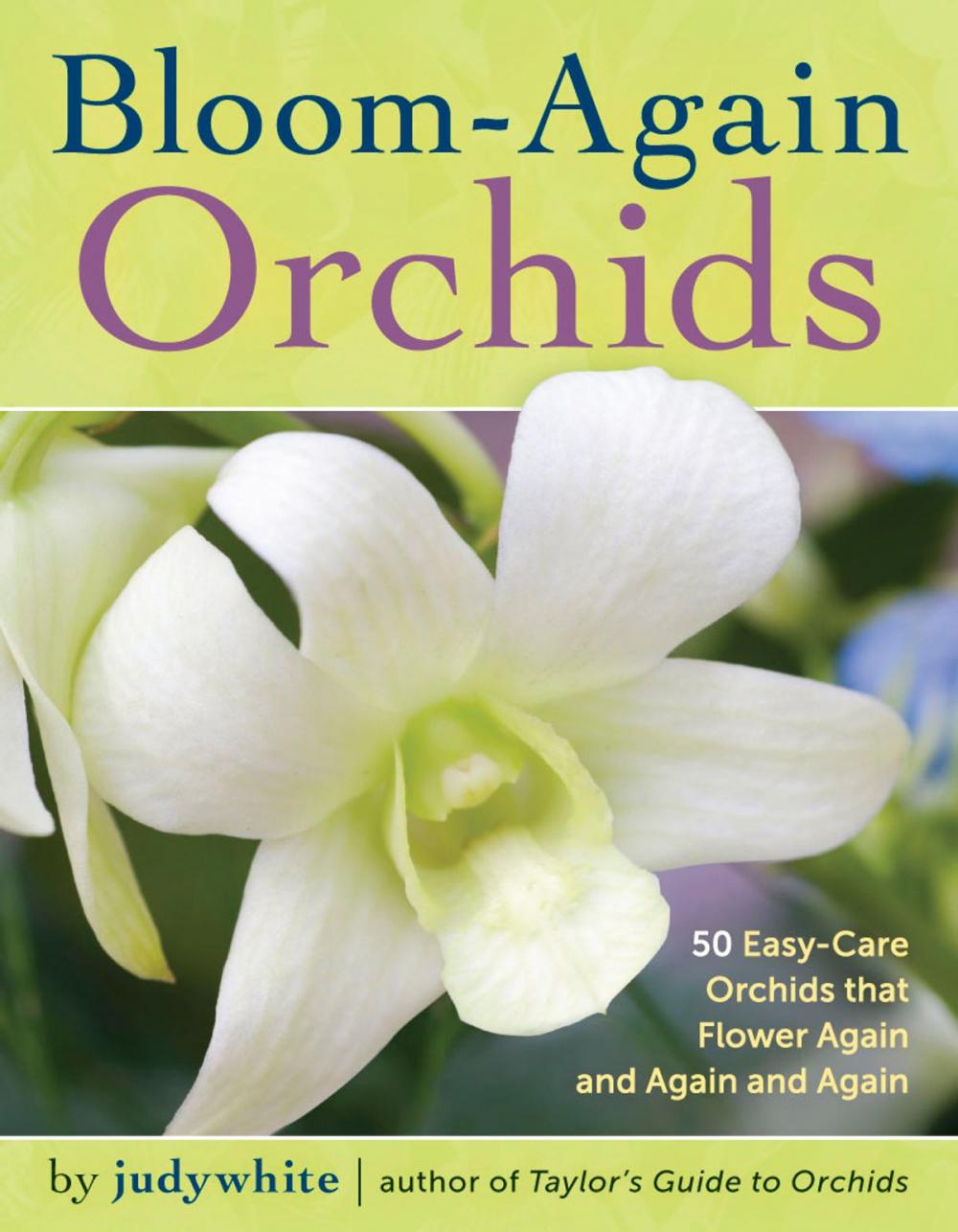 Big bigCover of Bloom-Again Orchids