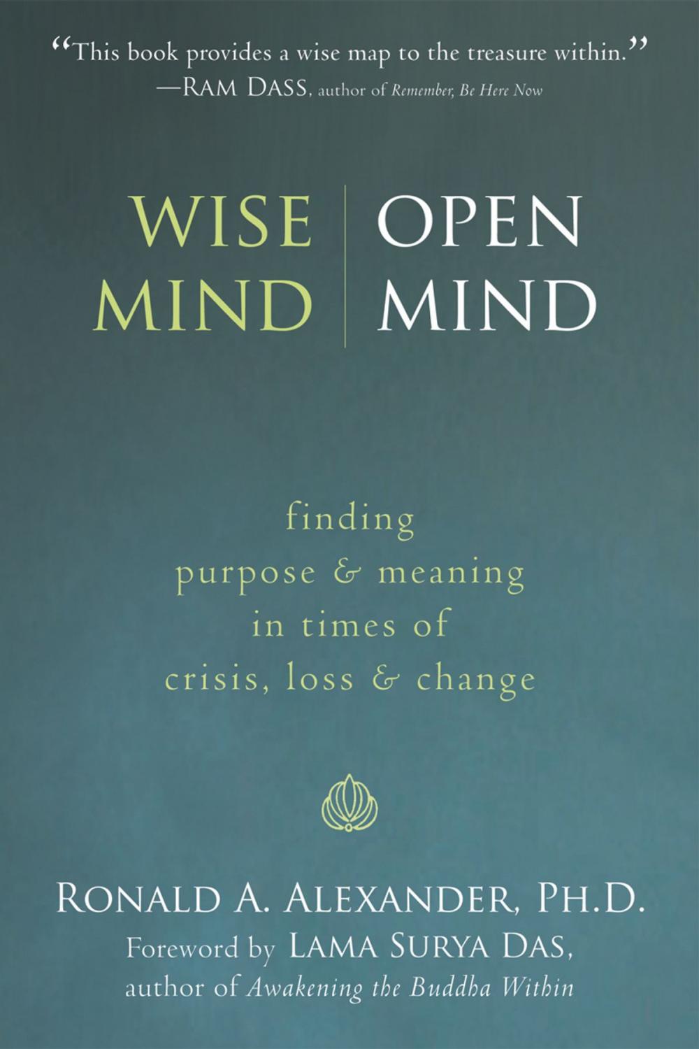 Big bigCover of Wise Mind, Open Mind