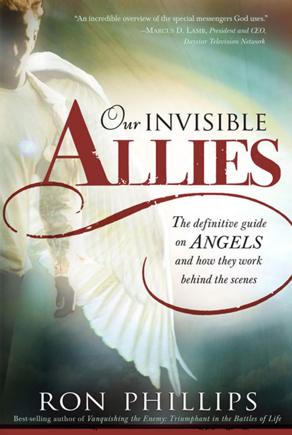 Big bigCover of Our Invisible Allies