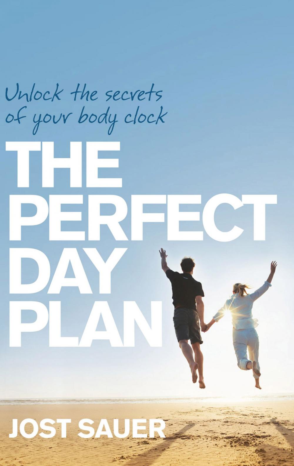 Big bigCover of Perfect Day Plan