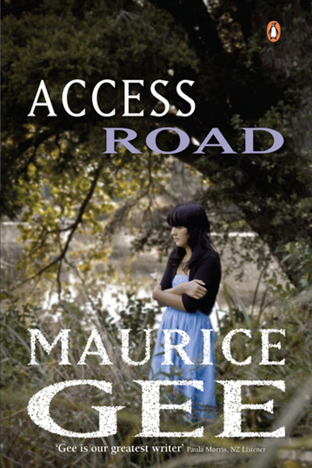 Big bigCover of Access Road