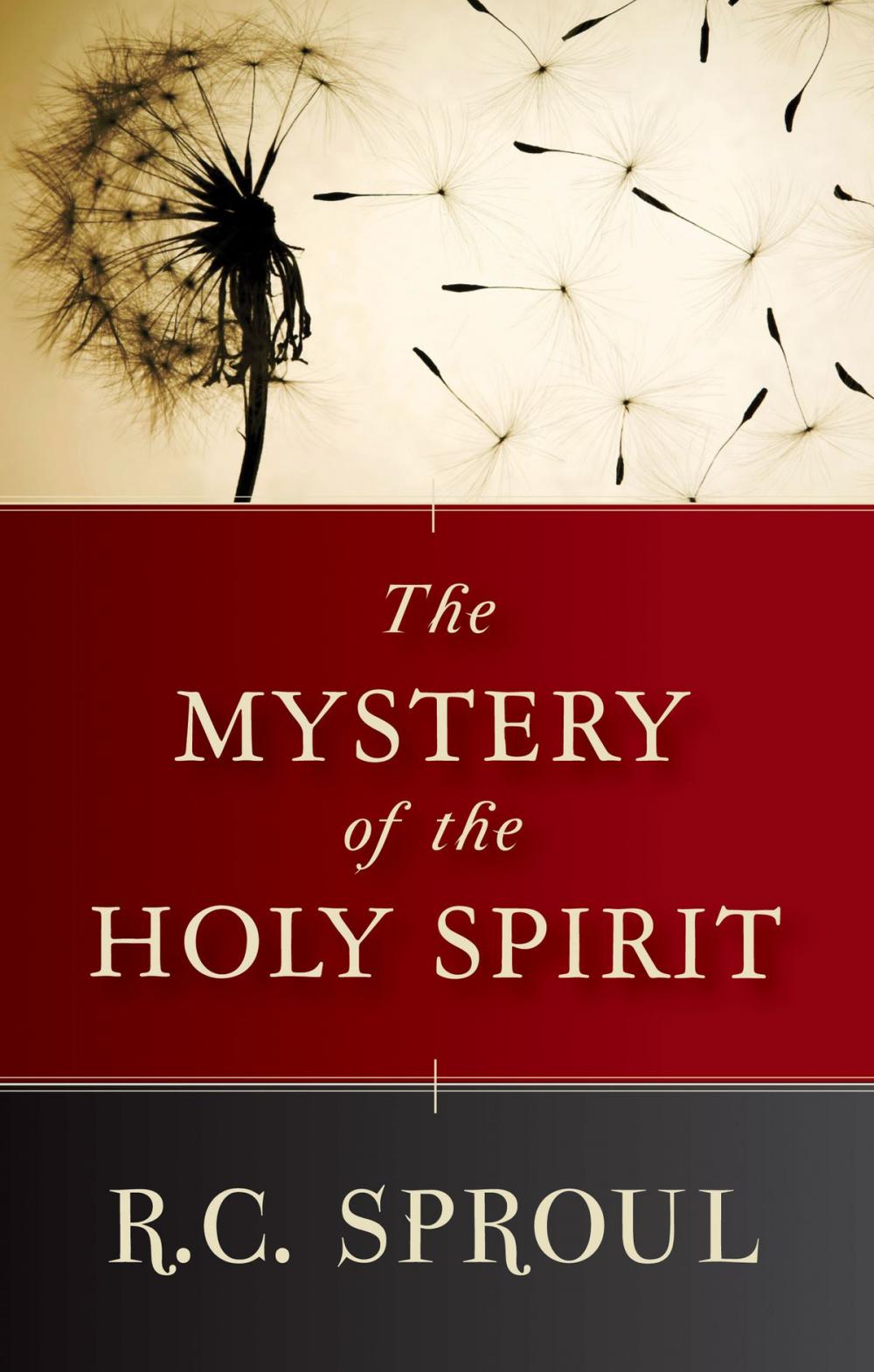 Big bigCover of Mystery of the Holy Spirit