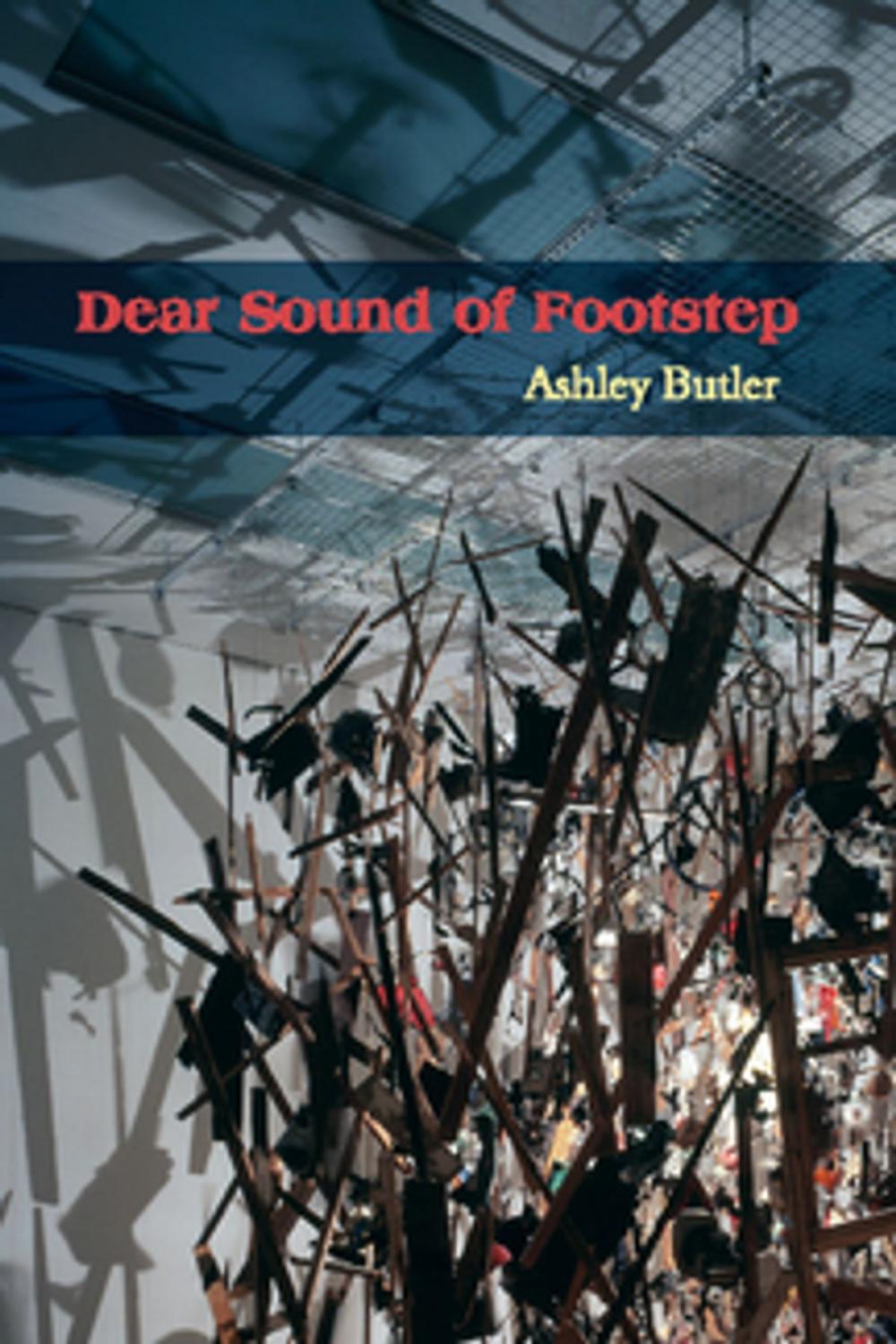 Big bigCover of Dear Sound of Footstep