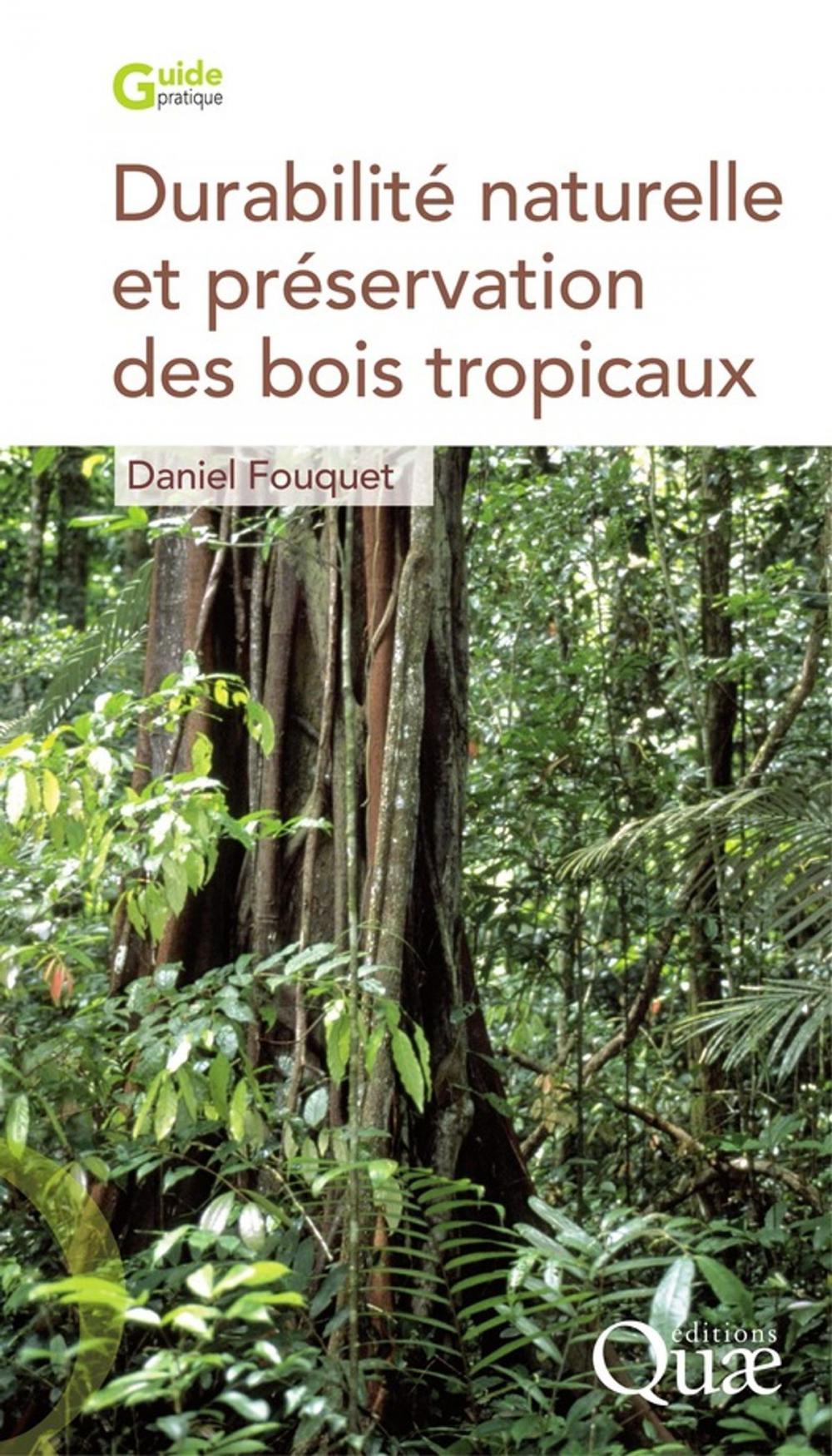 Big bigCover of Durabilité naturelle et préservation des bois tropicaux