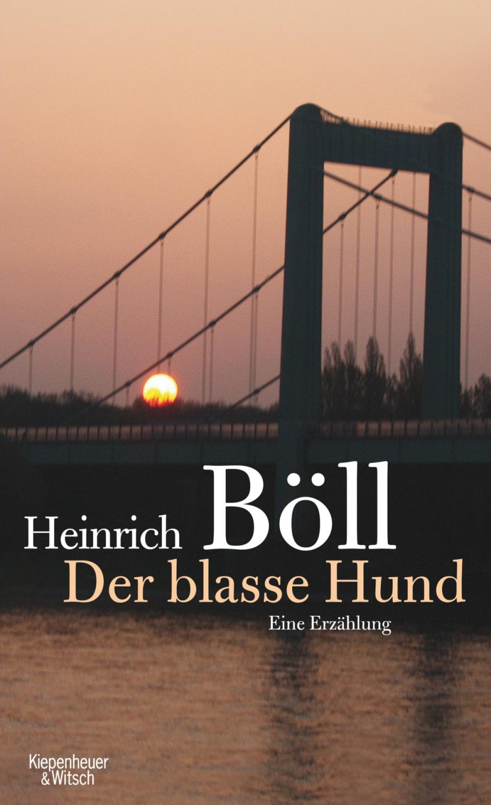 Big bigCover of Der blasse Hund