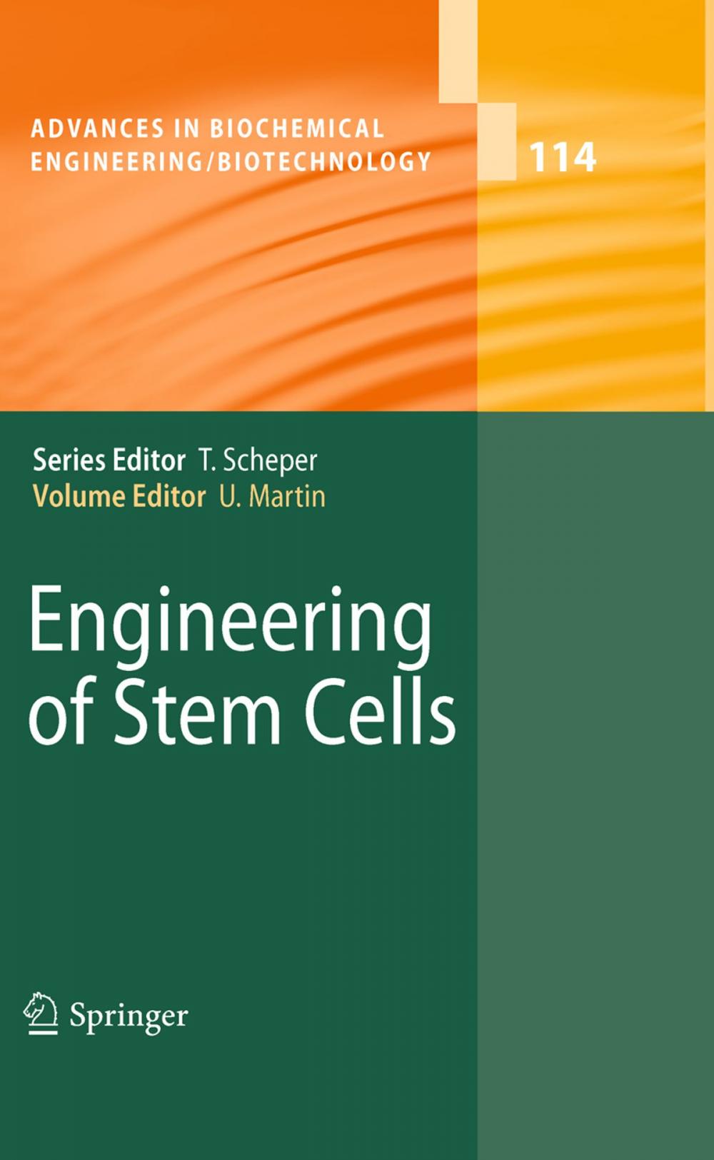 Big bigCover of Engineering of Stem Cells