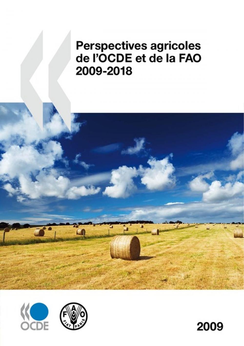 Big bigCover of Perspectives agricoles de l'OCDE et de la FAO 2009