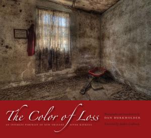 Cover of the book The Color of Loss by Anthony Channell Hilfer