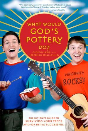 Cover of the book What Would God's Pottery Do? by Alexander McNabb