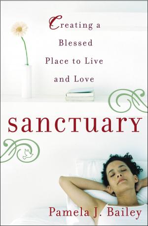 Cover of the book Sanctuary by Kimberly Elkins