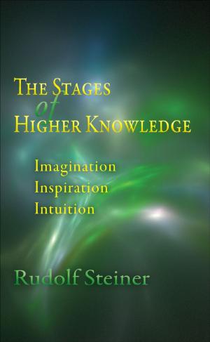 Cover of the book Stage of Higher Knowledge by Rudolf Steiner, Friedrich Benesch