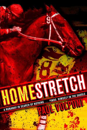 Book cover of Homestretch