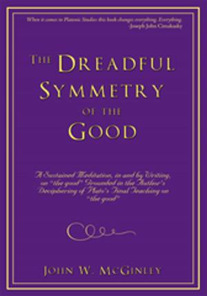 Cover of the book The Dreadful Symmetry of the Good by Dr. Louis Timm's
