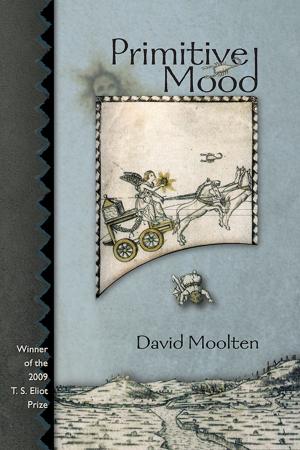 Cover of the book Primitive Mood by Cecele Allen Kraus