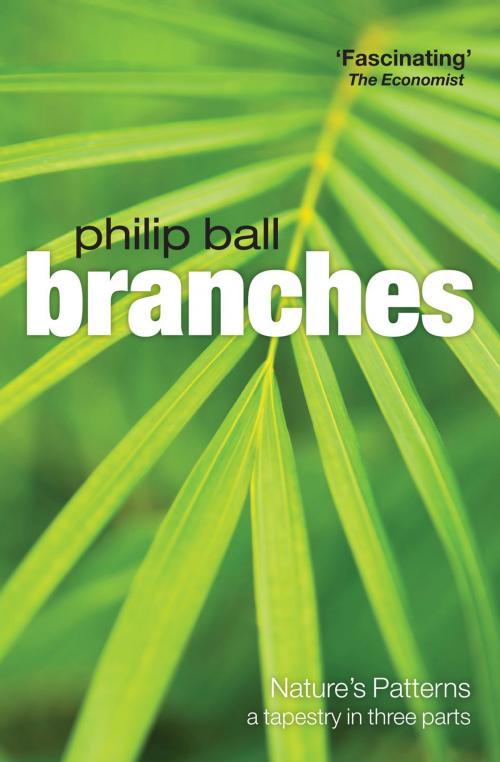 Cover of the book Branches by Philip Ball, OUP Oxford