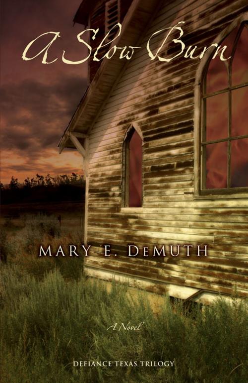 Cover of the book A Slow Burn by Mary E DeMuth, Zondervan