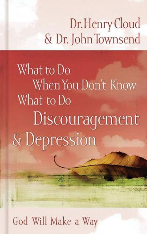 Cover of the book What to Do When You Don't Know What to Do: Discouragement & Depression by Henry Cloud, Thomas Nelson