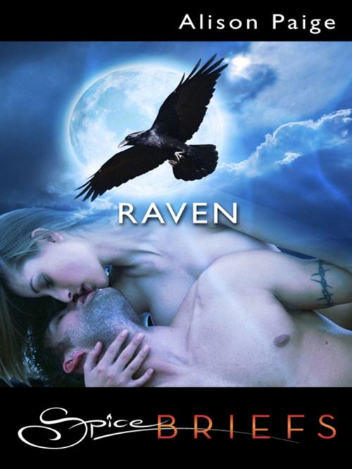 Cover of the book Raven by Alison Paige, Spice