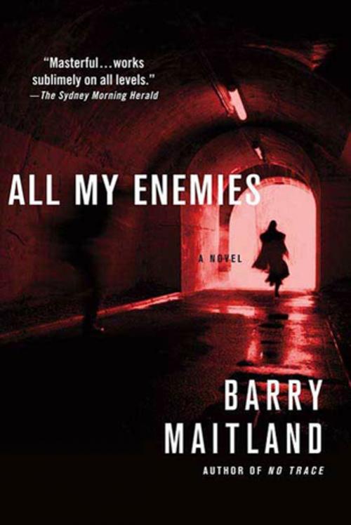 Cover of the book All My Enemies by Barry Maitland, St. Martin's Press