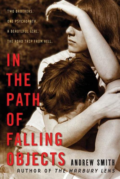 Cover of the book In the Path of Falling Objects by Andrew Smith, Feiwel & Friends