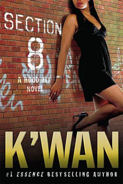 Cover of the book Section 8 by K'wan, St. Martin's Press