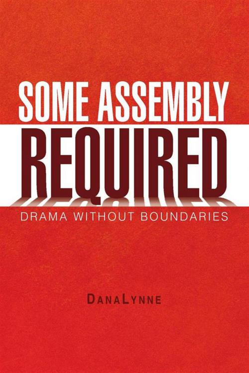 Cover of the book Some Assembly Required by DanaLynne, Xlibris US